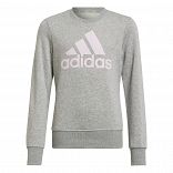 Essentials Sweatshirt