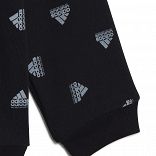 Brand Love Fleece Jogger Set