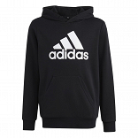 UNISEX BIG LOGO ESSENTIALS COTTON HOODIE