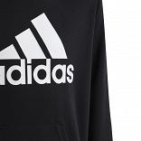 UNISEX BIG LOGO ESSENTIALS COTTON HOODIE