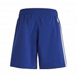 Finding Nemo Swim Shorts