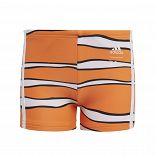 Finding Nemo Swim Boxer Shorts