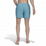 Short Length Solid Swim Shorts