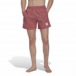 Short Length Solid Swim Shorts