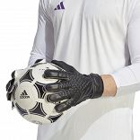 Predator Training Gloves