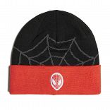 Marvel Spider-Man Beanie