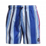 Striped Swim Shorts