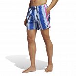 Striped Swim Shorts