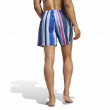 Striped Swim Shorts