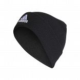Logo Beanie
