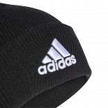 Logo Beanie