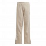 J ALL SZN PANT