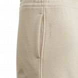 J ALL SZN PANT