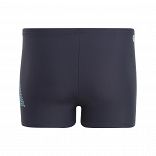 3 Bar Logo Swim Boxers