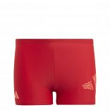 3 Bar Logo Swim Boxers