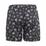 Logo Print CLX Swim Shorts