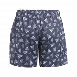 Logo Print CLX Swim Shorts