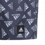 Logo Print CLX Swim Shorts