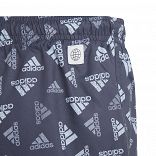 Logo Print CLX Swim Shorts