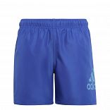 Logo CLX Swim Shorts