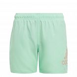 Logo CLX Swim Shorts