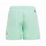 Logo CLX Swim Shorts