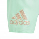 Logo CLX Swim Shorts