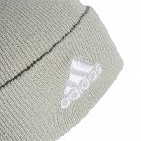 Logo Beanie