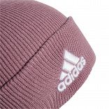 Logo Beanie