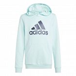 Βαμβακερό Hoodie Big Logo Essentials