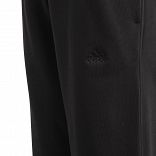 J ALL SZN PANT