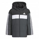 LK PAD JKT