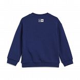 adidas x Star Wars Young Jedi Crewneck and Jogger Set