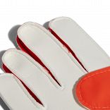 PRED GLOVE TRAINING J