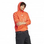 BL FL HD Q1 GD