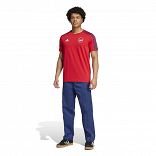 ARSENAL FC DNA T-SHIRT