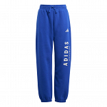 J ALL SZN GFX PANT