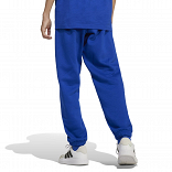 J ALL SZN GFX PANT