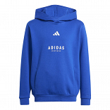 J ALL SZN GFX HOODIE