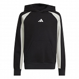 SEASONAL ESSENTIALS COLORBLOCK FLEECE HOODIE