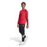 ALL SPORTS NXT HOODIE