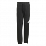 ESSENTIALS PANTS