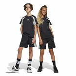 SEASONAL ESSENTIALS COLORBLOCK SHORTS
