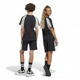 SEASONAL ESSENTIALS COLORBLOCK SHORTS