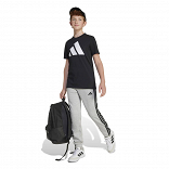 ESSENTIALS PANTS