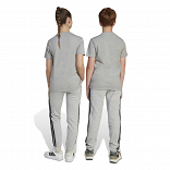 ESSENTIALS PANTS