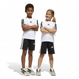ESSENTIALS T-SHIRT SET