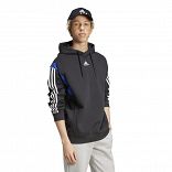 COLORBLOCK HOODED SWEATSHIRT