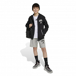 Seasonals Essentials Collegiate Typography Full Zip Hoody