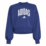 Seasonals Essentials Collegiate Typography Crew